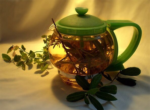 ceai de plante pentru paraziți