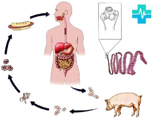 Moduri de infecție